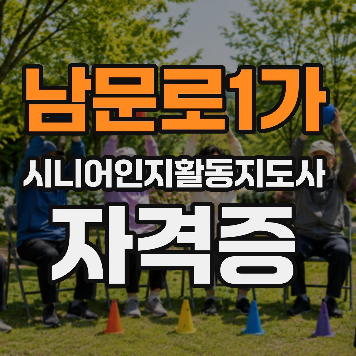 남문로1가 시니어인지활동지도사 자격증