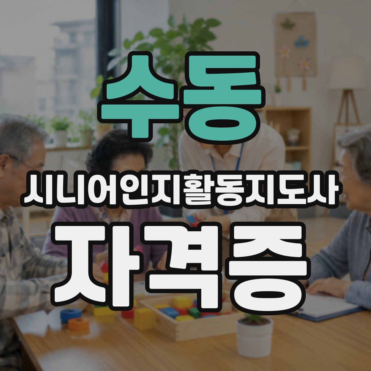 수동 시니어인지활동지도사 자격증
