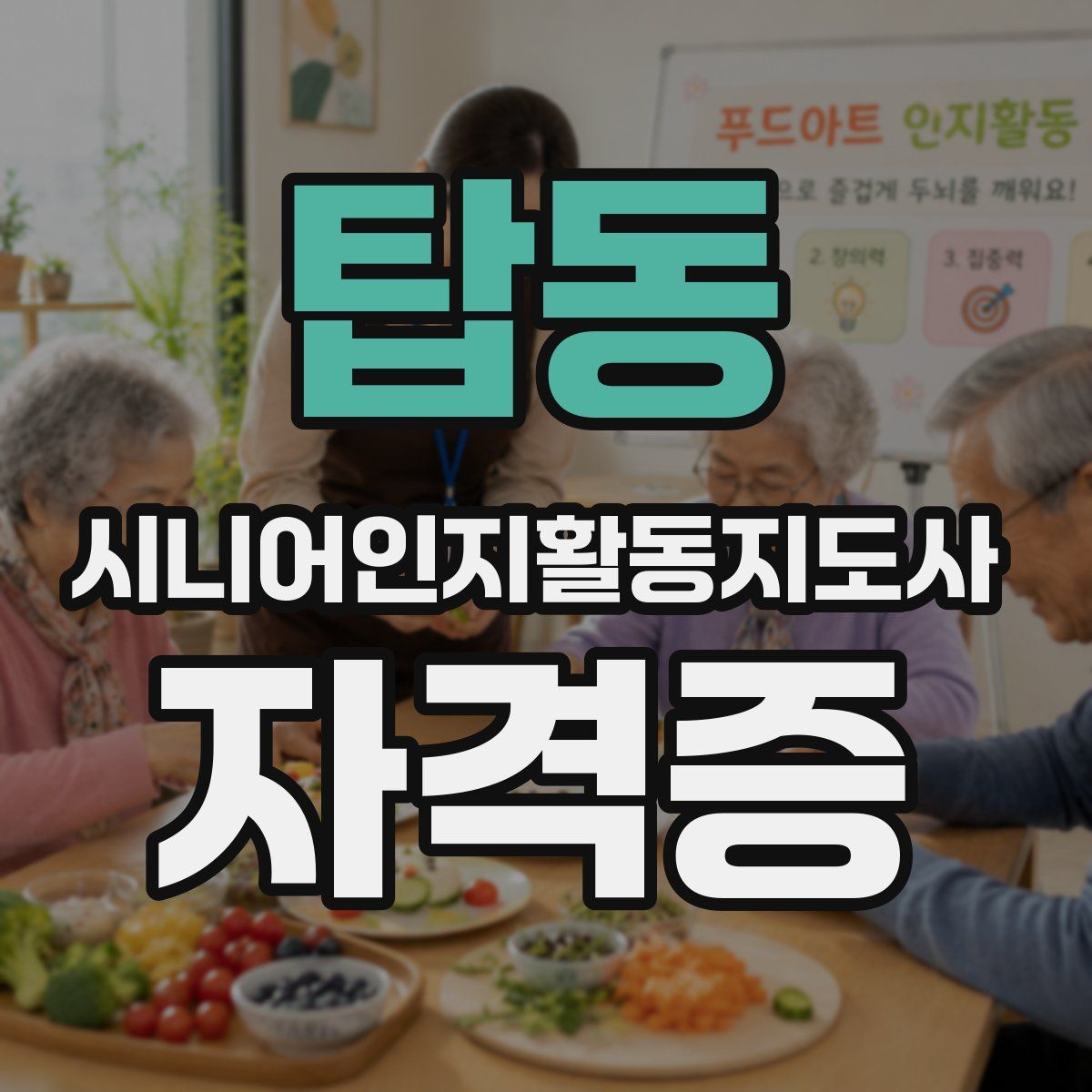 탑동 시니어인지활동지도사 자격증