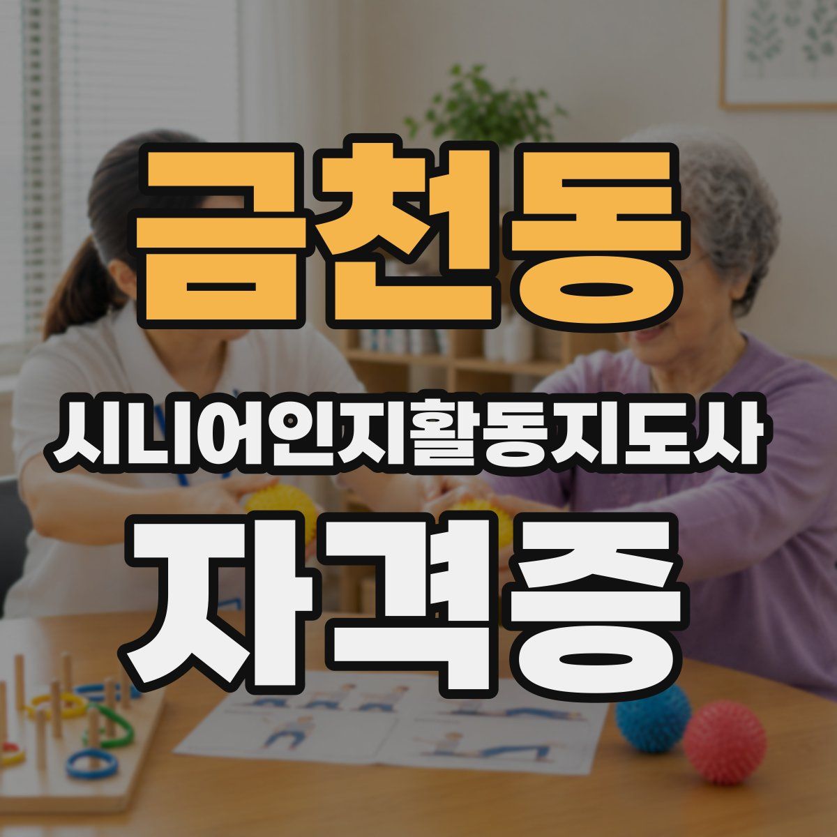 금천동 시니어인지활동지도사 자격증