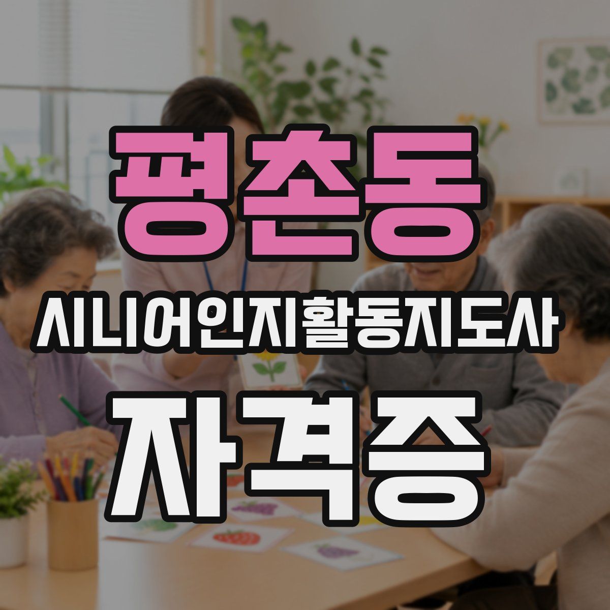 평촌동 시니어인지활동지도사 자격증