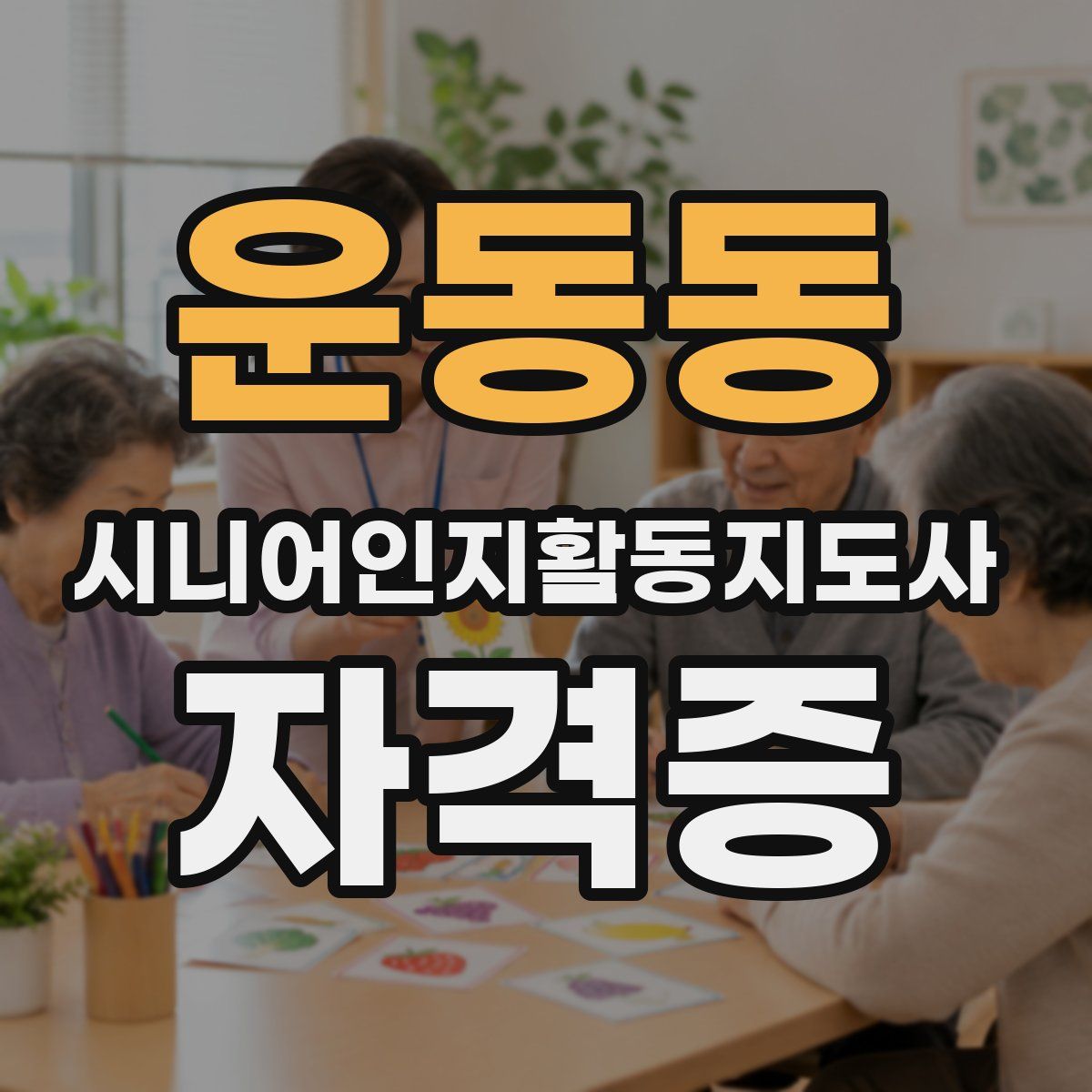 운동동 시니어인지활동지도사 자격증