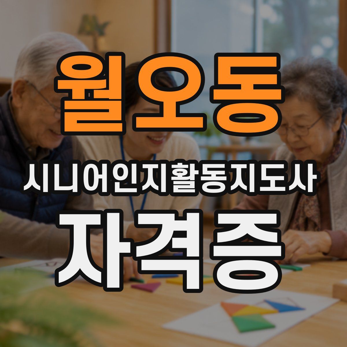 월오동 시니어인지활동지도사 자격증