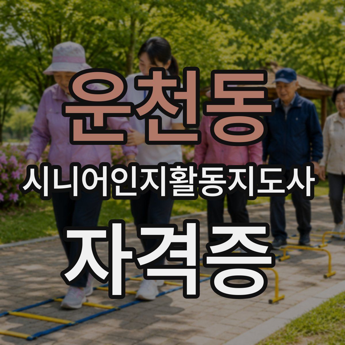 운천동 시니어인지활동지도사 자격증