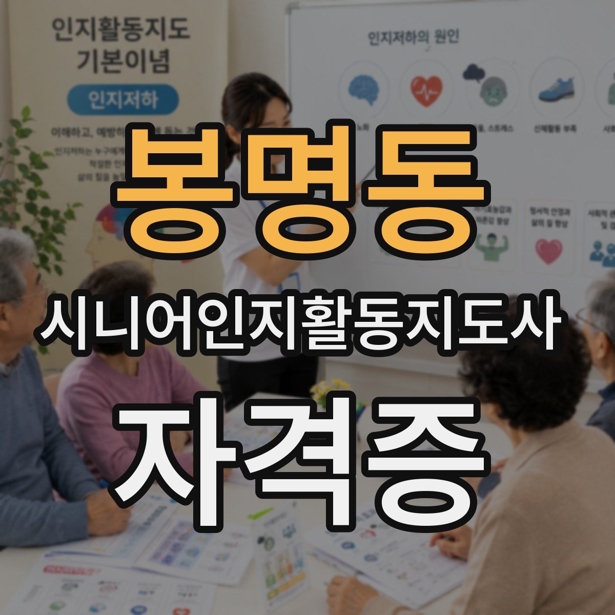 봉명동 시니어인지활동지도사 자격증