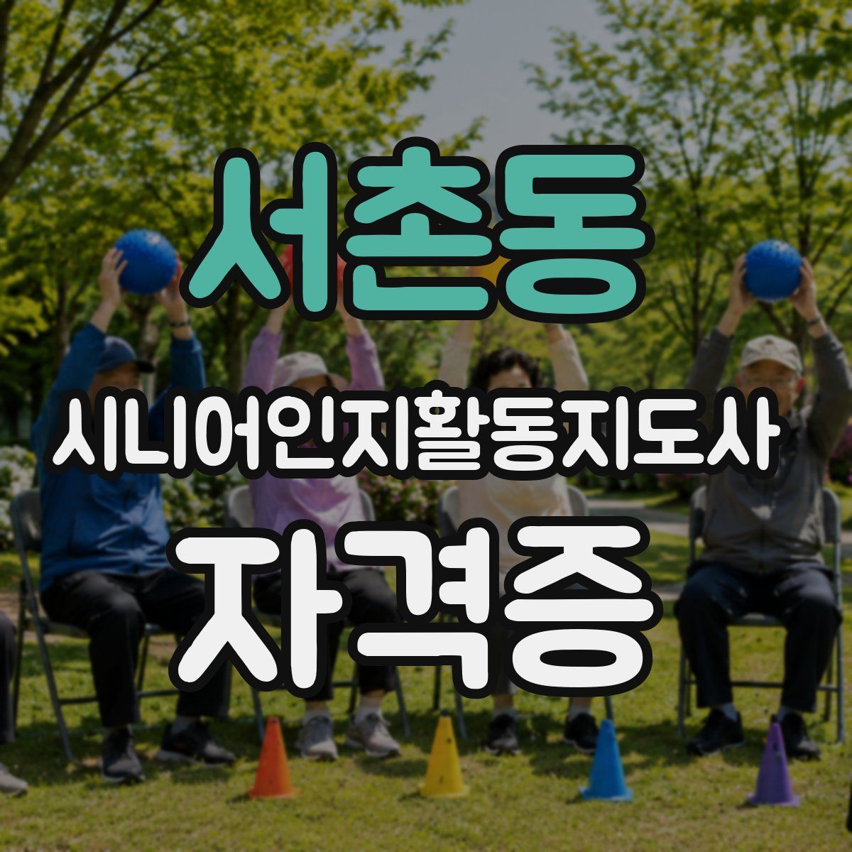 서촌동 시니어인지활동지도사 자격증