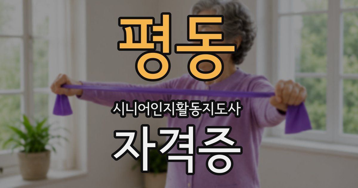 평동 시니어인지활동지도사 자격증