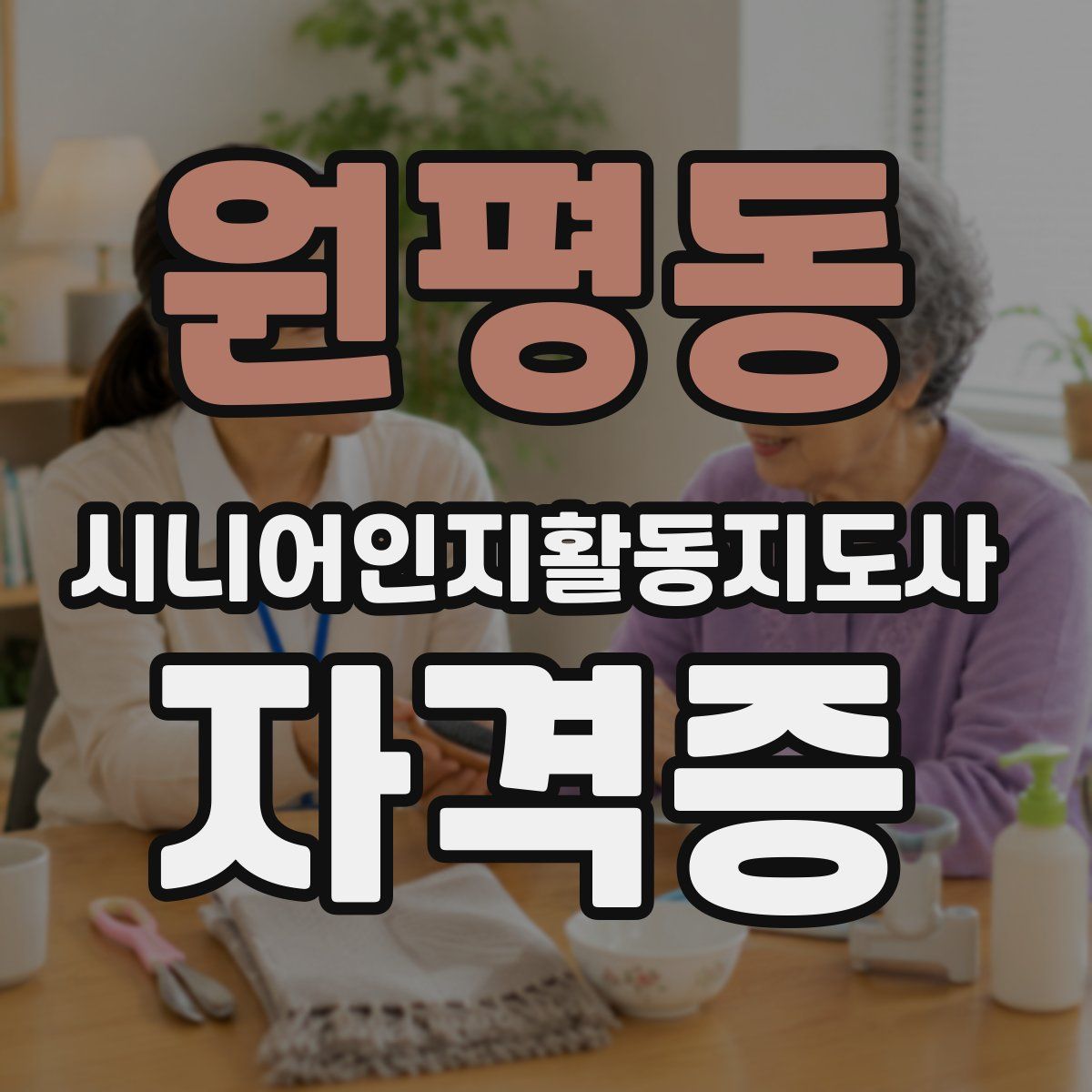 원평동 시니어인지활동지도사 자격증