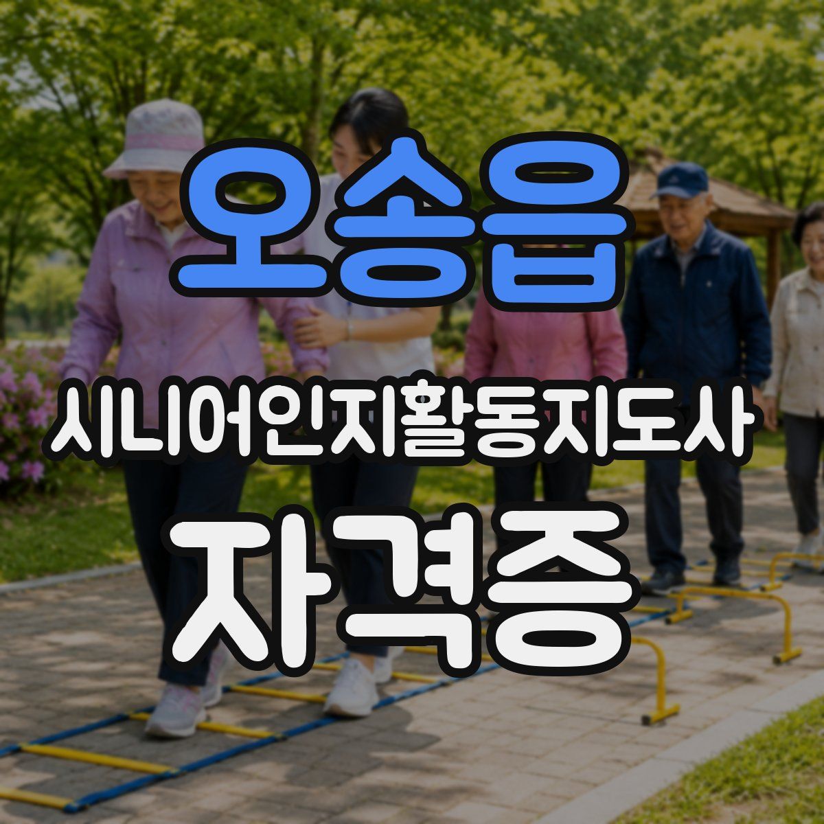 오송읍 시니어인지활동지도사 자격증