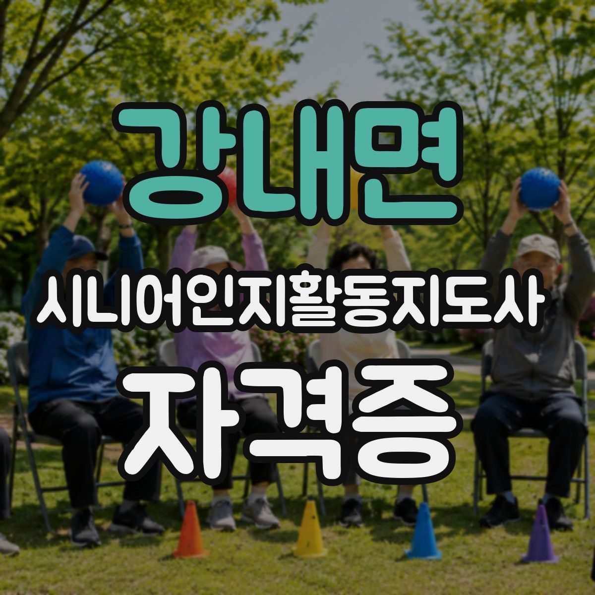 강내면 시니어인지활동지도사 자격증