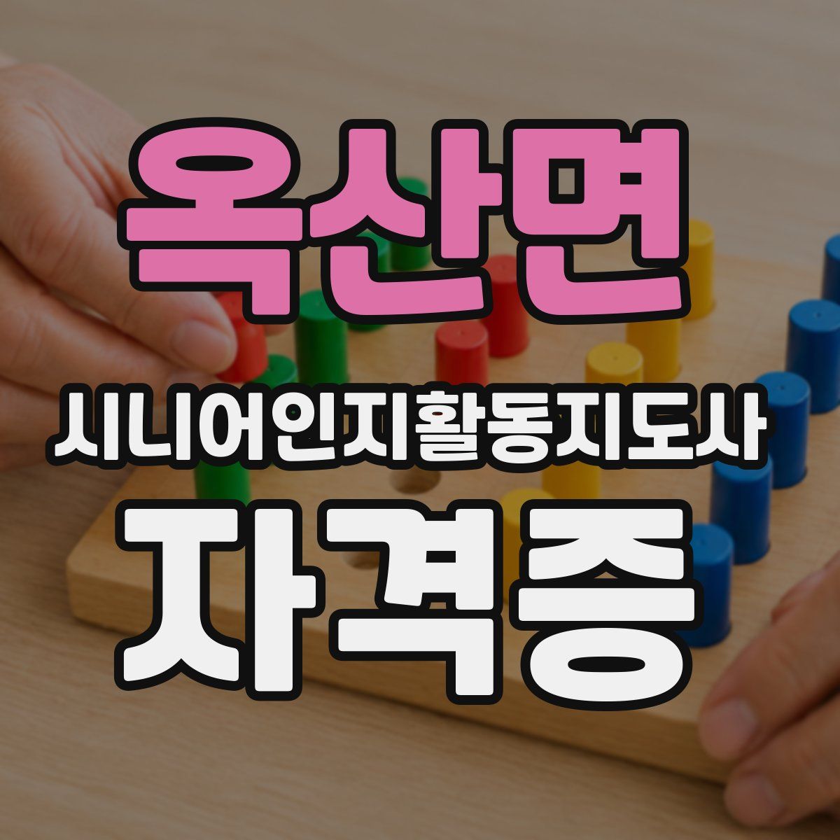 옥산면 시니어인지활동지도사 자격증