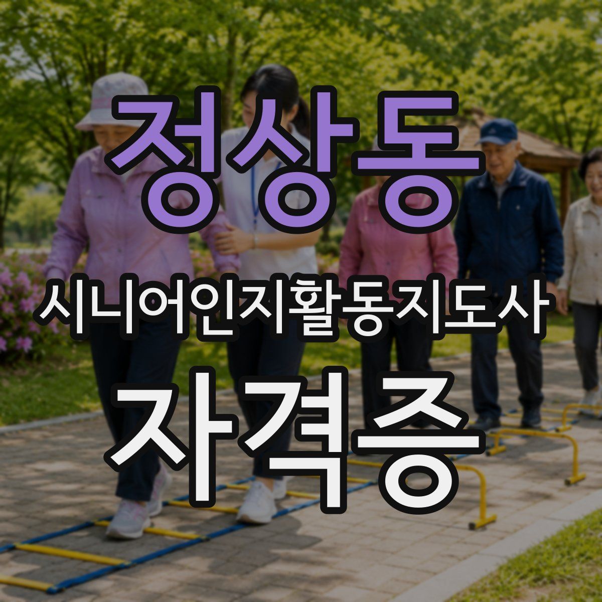 정상동 시니어인지활동지도사 자격증