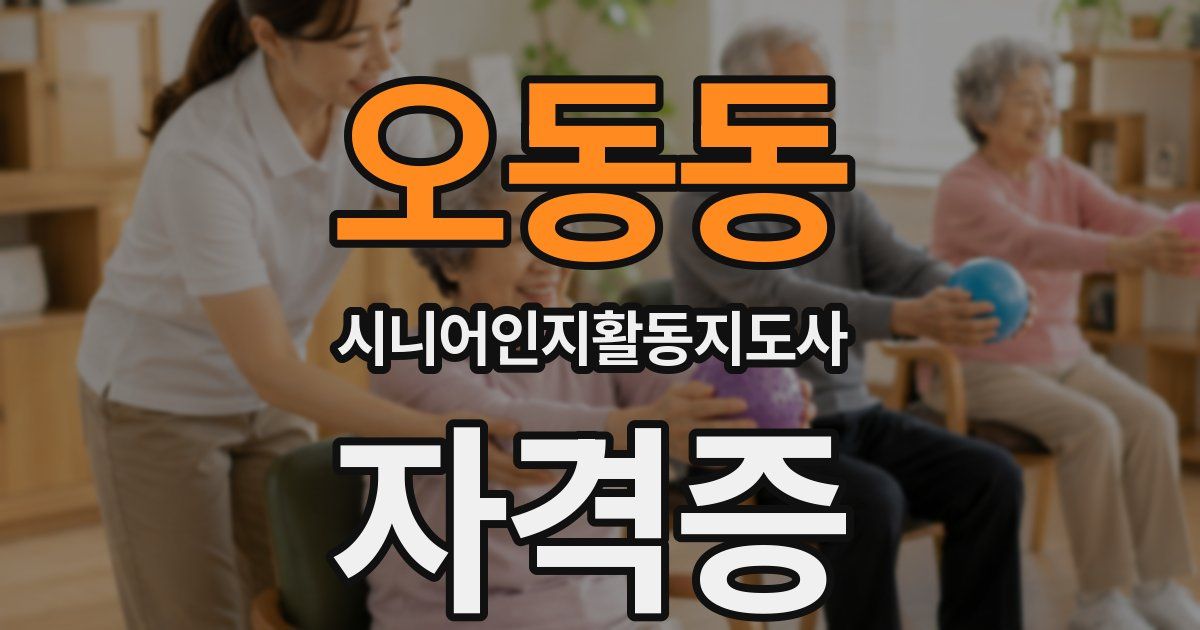 오동동 시니어인지활동지도사 자격증