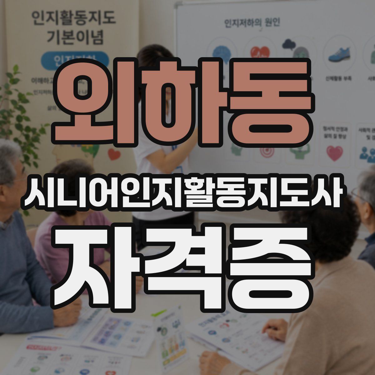 외하동 시니어인지활동지도사 자격증