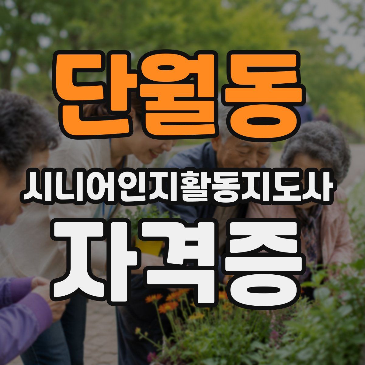 단월동 시니어인지활동지도사 자격증