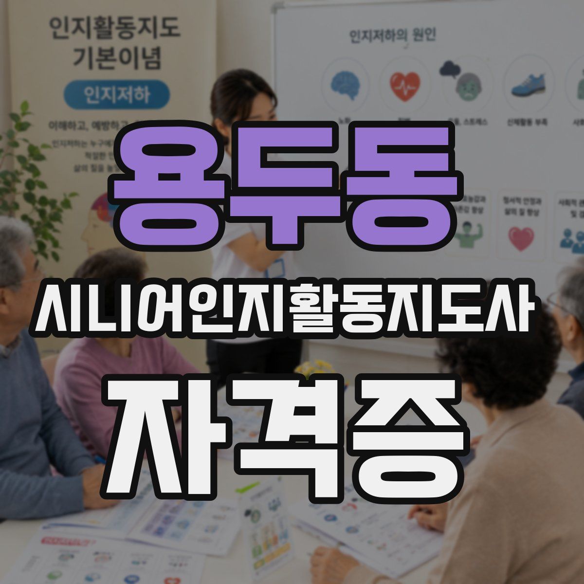 용두동 시니어인지활동지도사 자격증