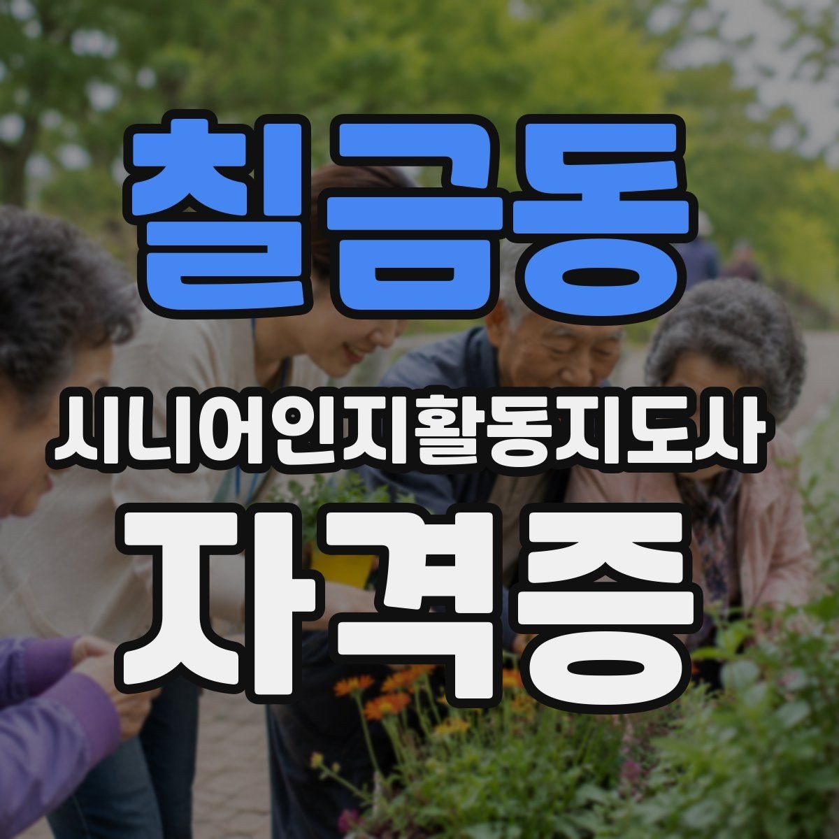 칠금동 시니어인지활동지도사 자격증 비용 대비 활용도 살펴보기