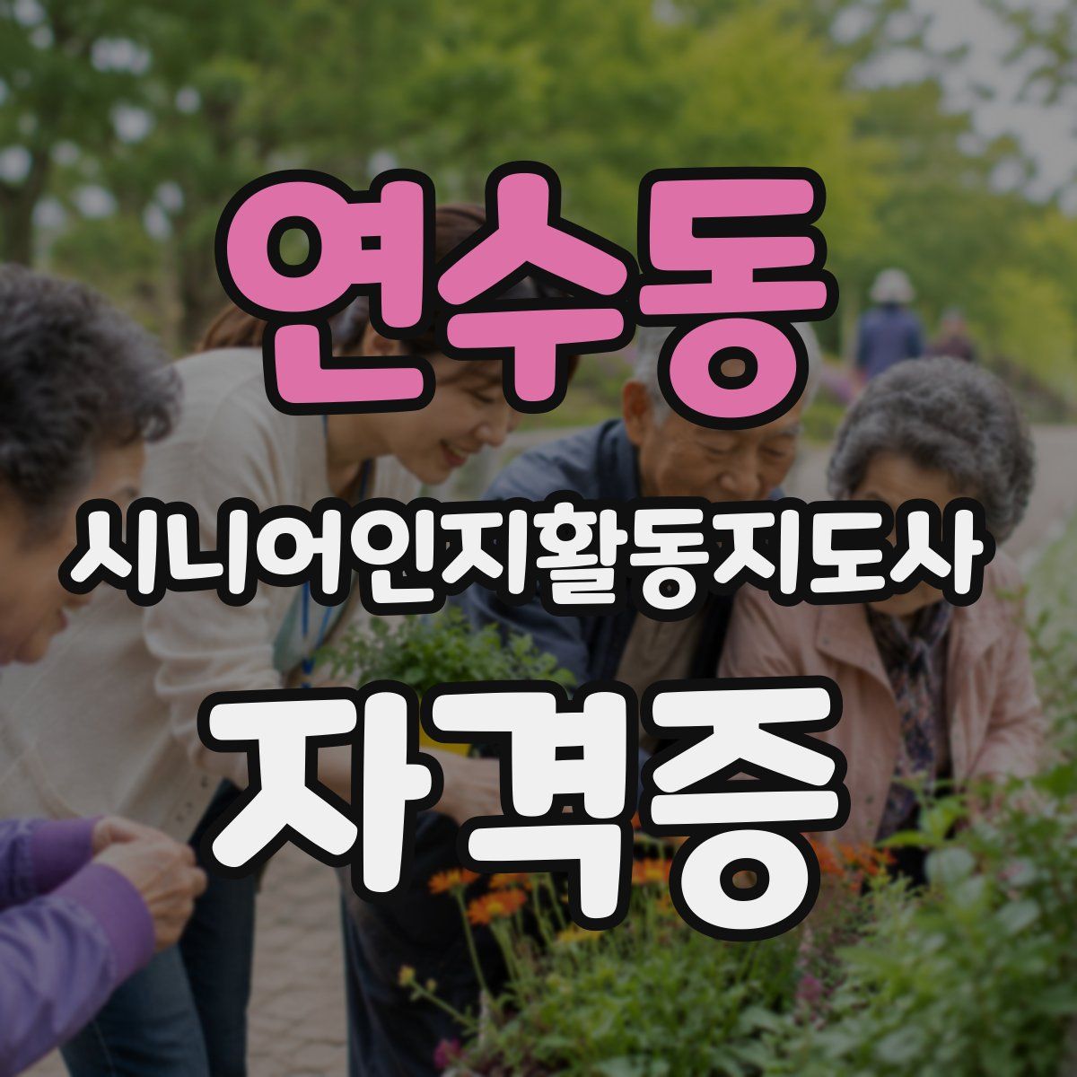 연수동 시니어인지활동지도사 자격증