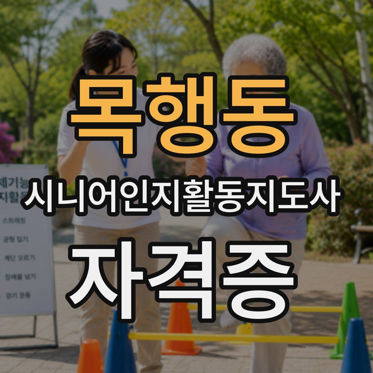 목행동 시니어인지활동지도사 자격증