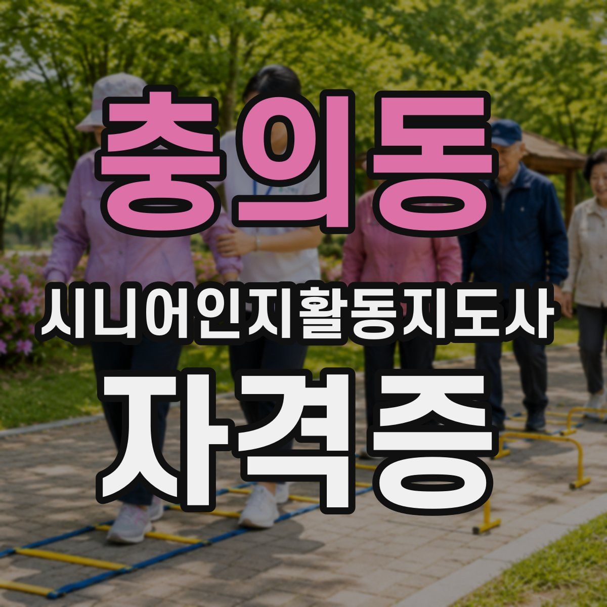 충의동 시니어인지활동지도사 자격증
