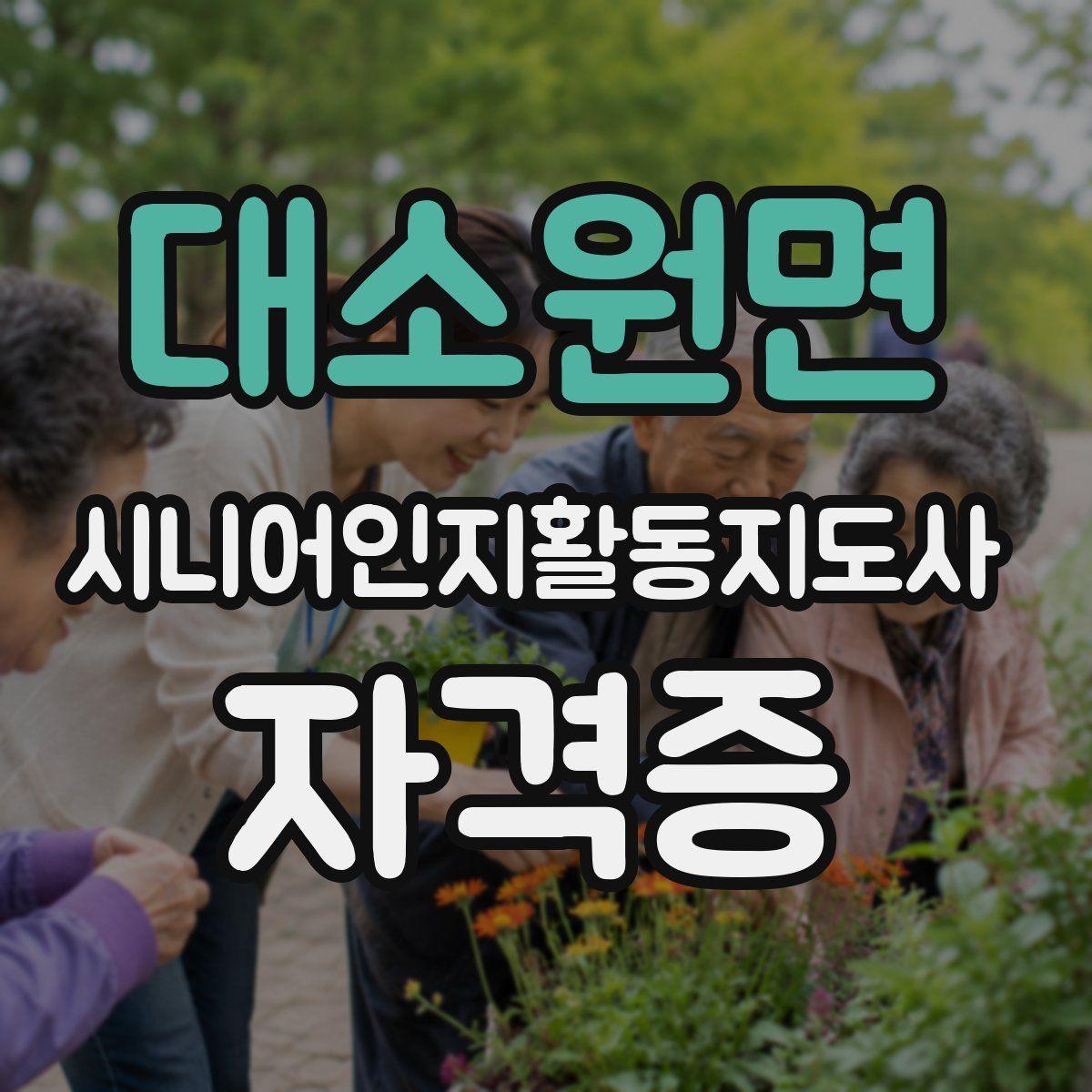 대소원면 시니어인지활동지도사 자격증