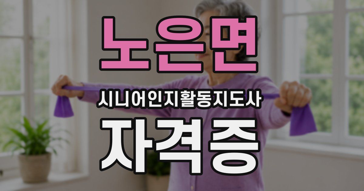 노은면 시니어인지활동지도사 자격증