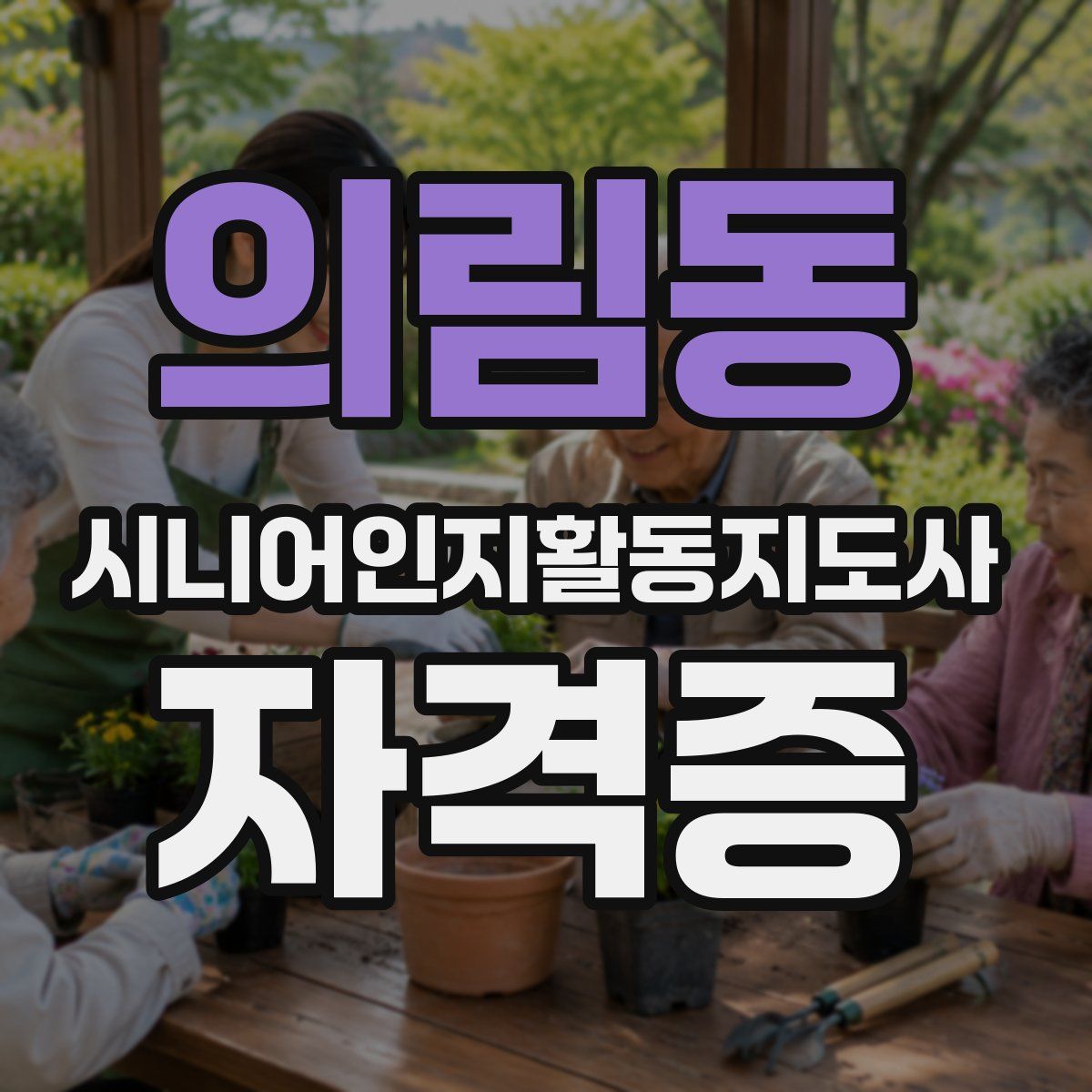 의림동 시니어인지활동지도사 자격증