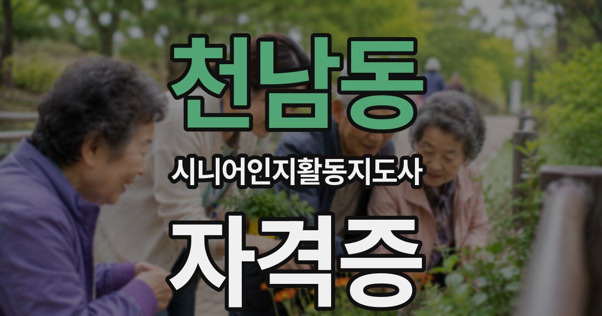 천남동 시니어인지활동지도사 자격증