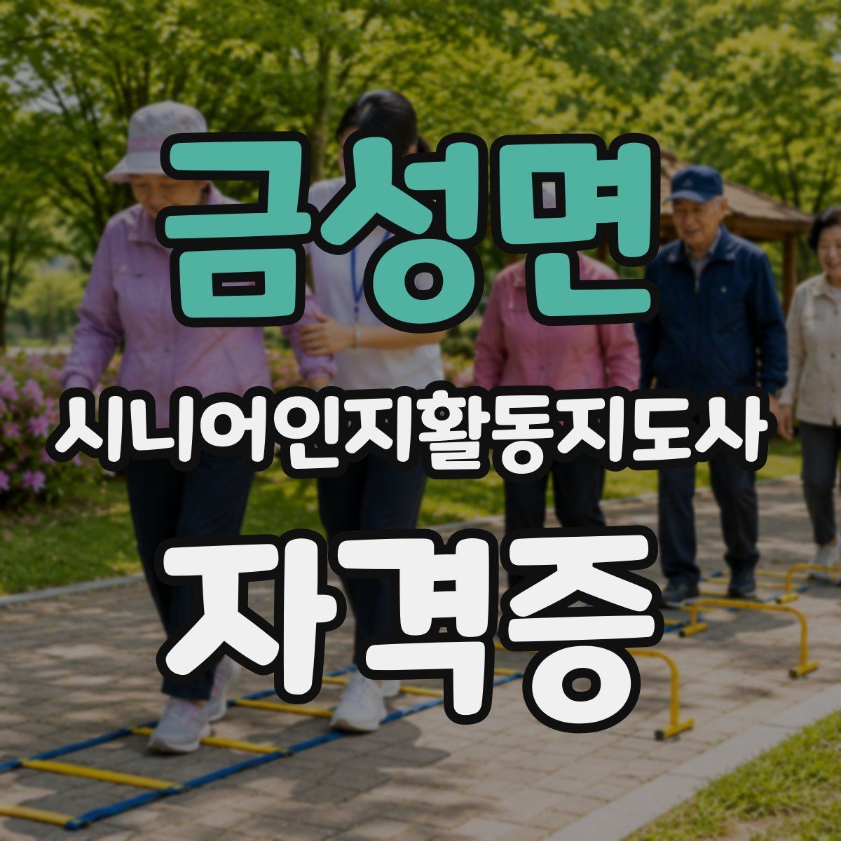 금성면 시니어인지활동지도사 자격증