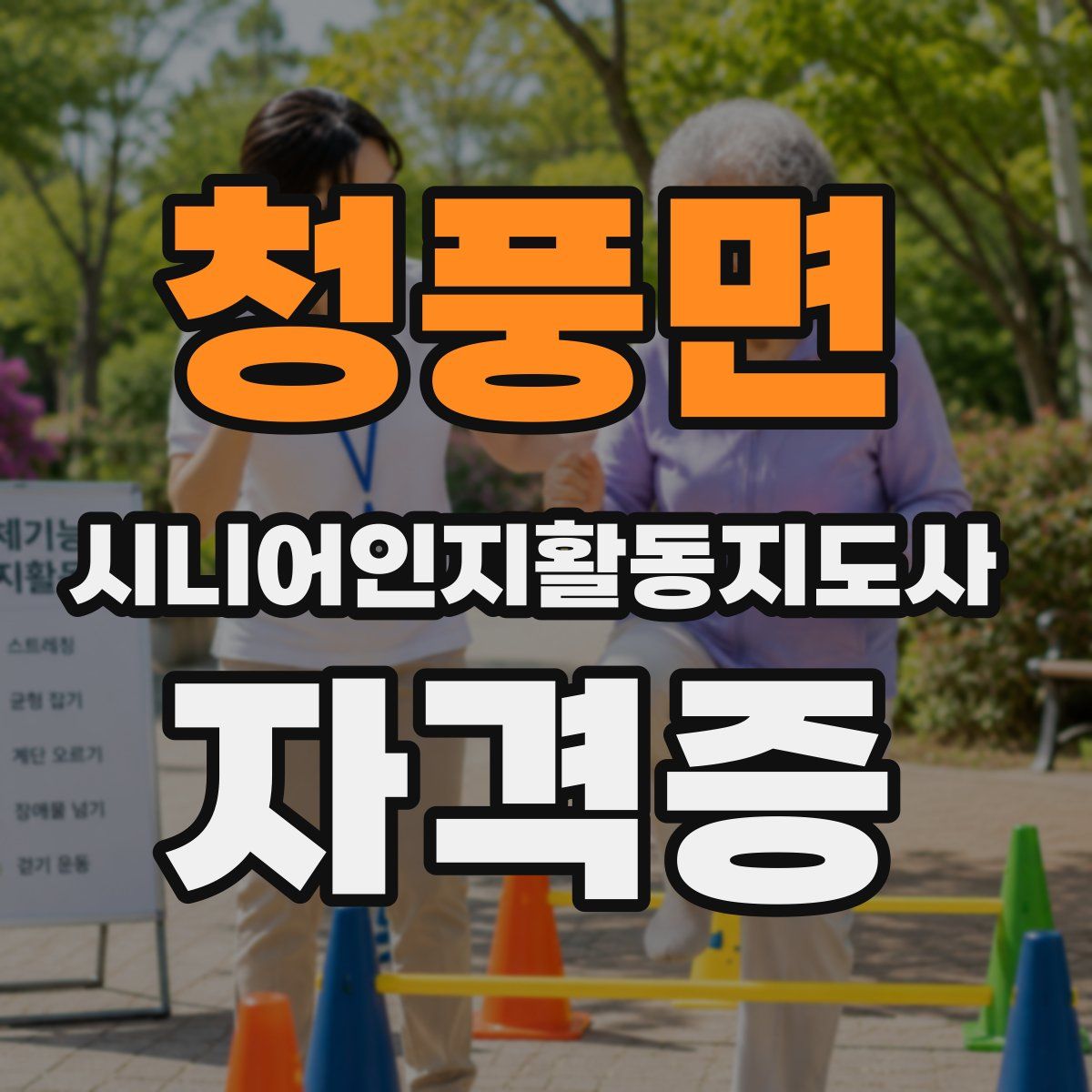 청풍면 시니어인지활동지도사 자격증