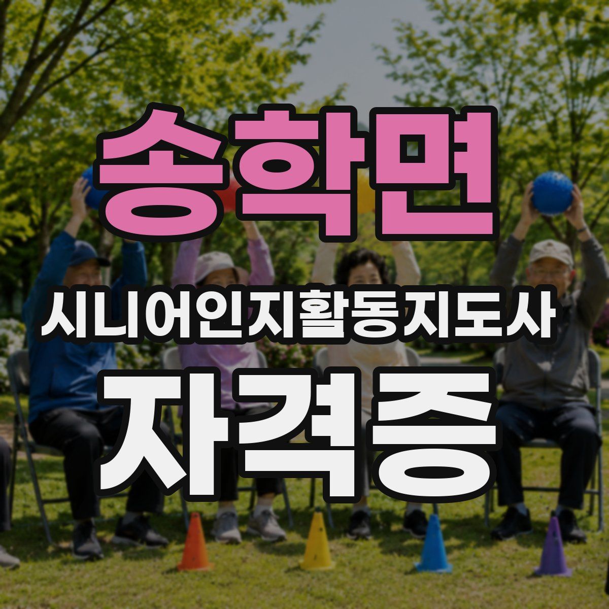 송학면 시니어인지활동지도사 자격증