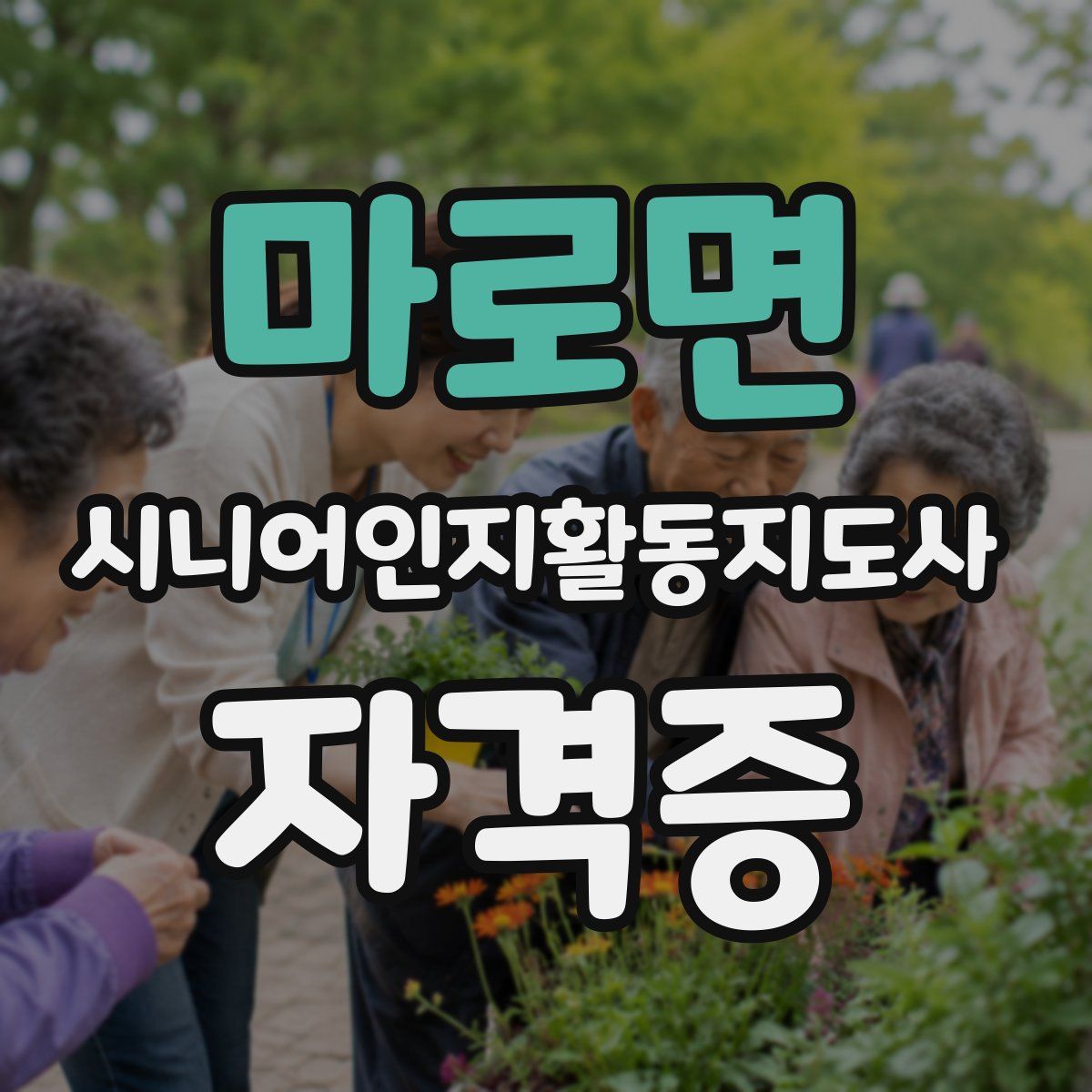 마로면 시니어인지활동지도사 자격증