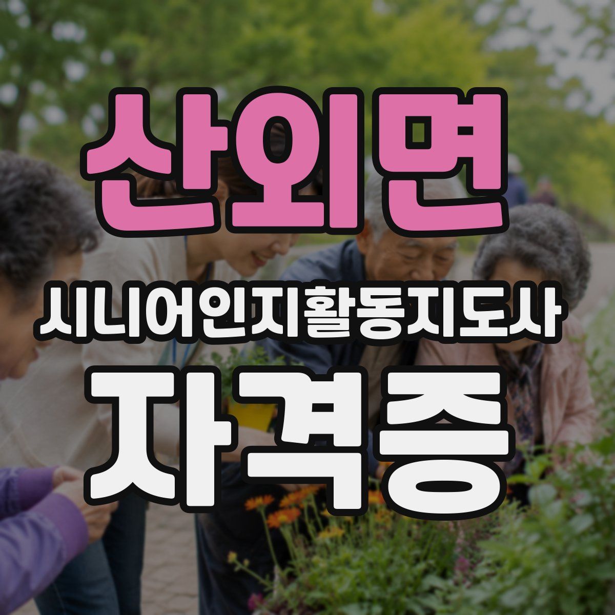 산외면 시니어인지활동지도사 자격증