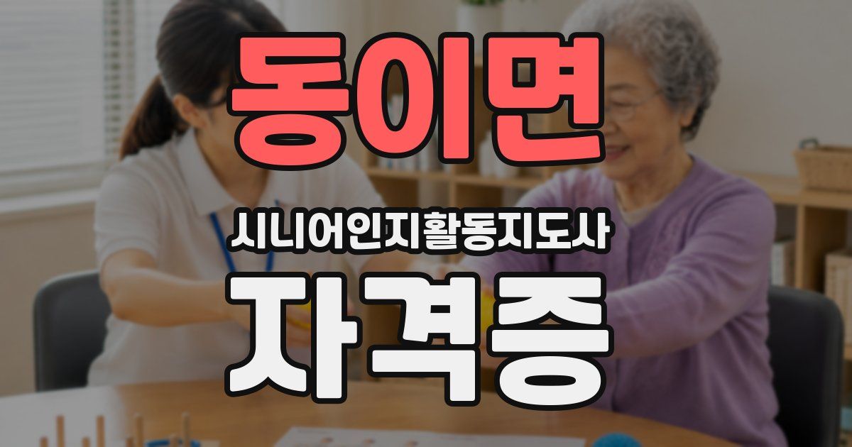 동이면 시니어인지활동지도사 자격증