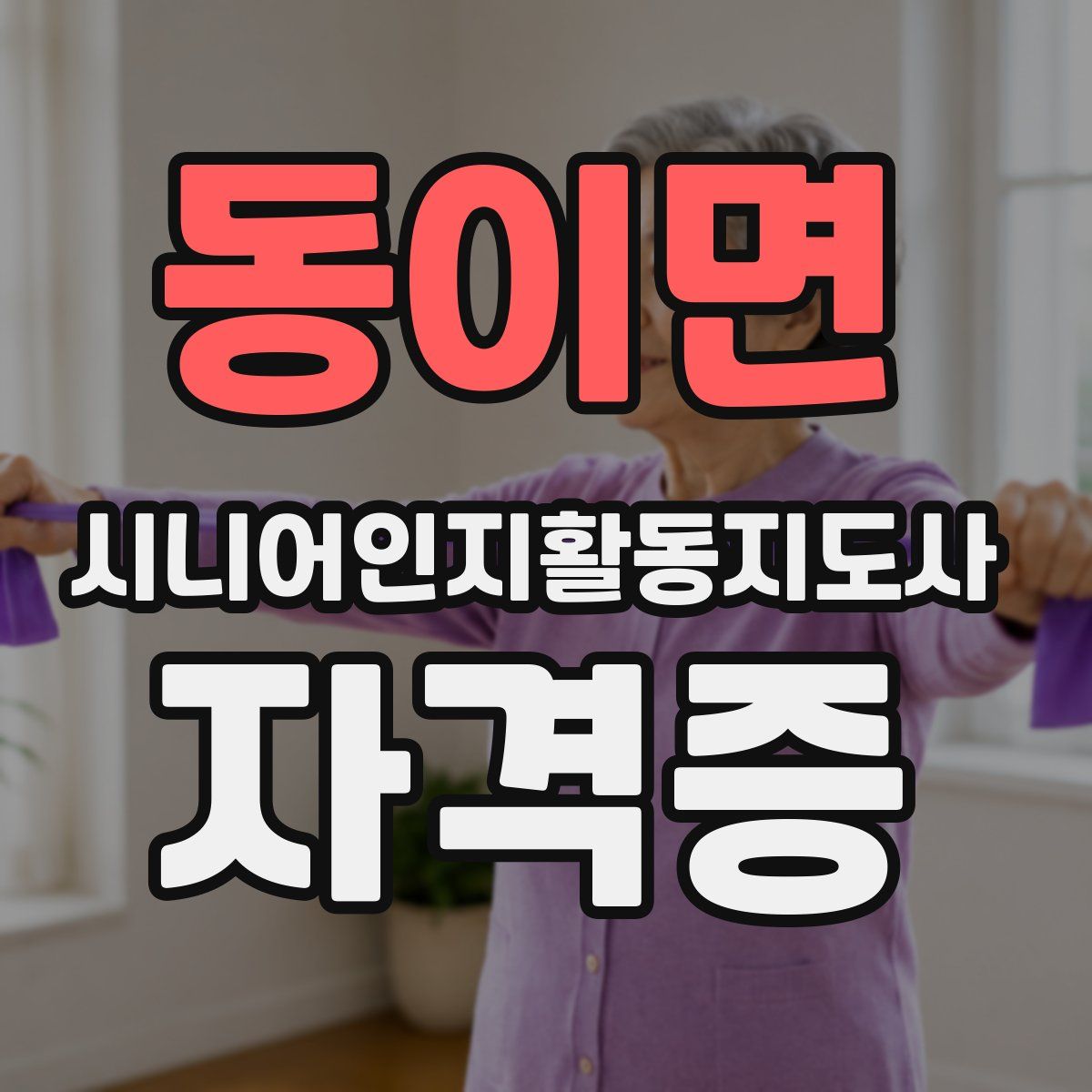 동이면 시니어인지활동지도사 자격증
