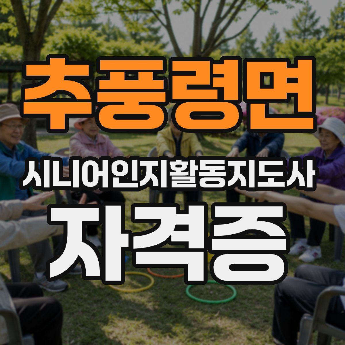 추풍령면 시니어인지활동지도사 자격증