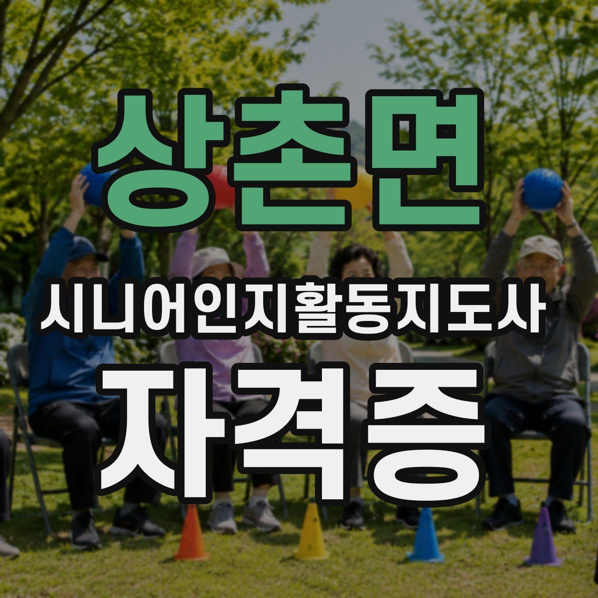 상촌면 시니어인지활동지도사 자격증