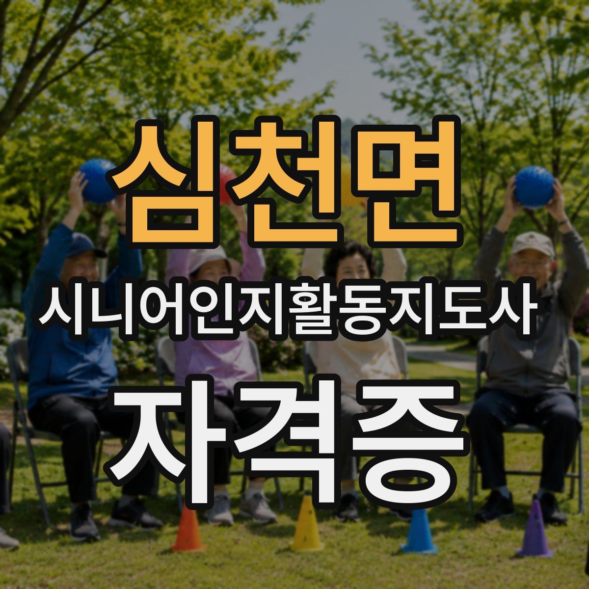 심천면 시니어인지활동지도사 자격증
