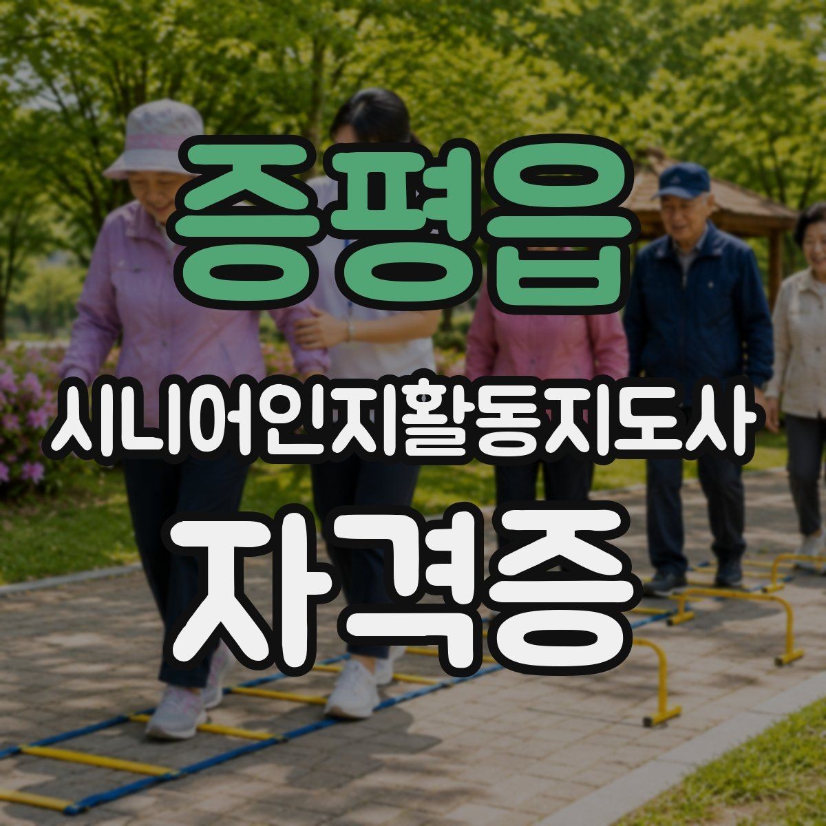증평읍 시니어인지활동지도사 자격증 독학과 강의 수강의 차이