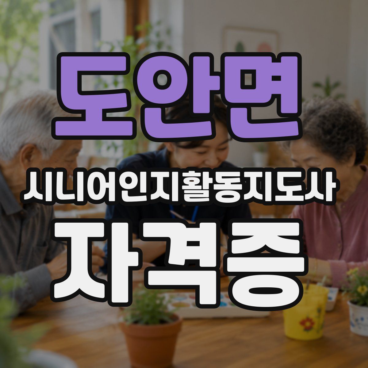 도안면 시니어인지활동지도사 자격증