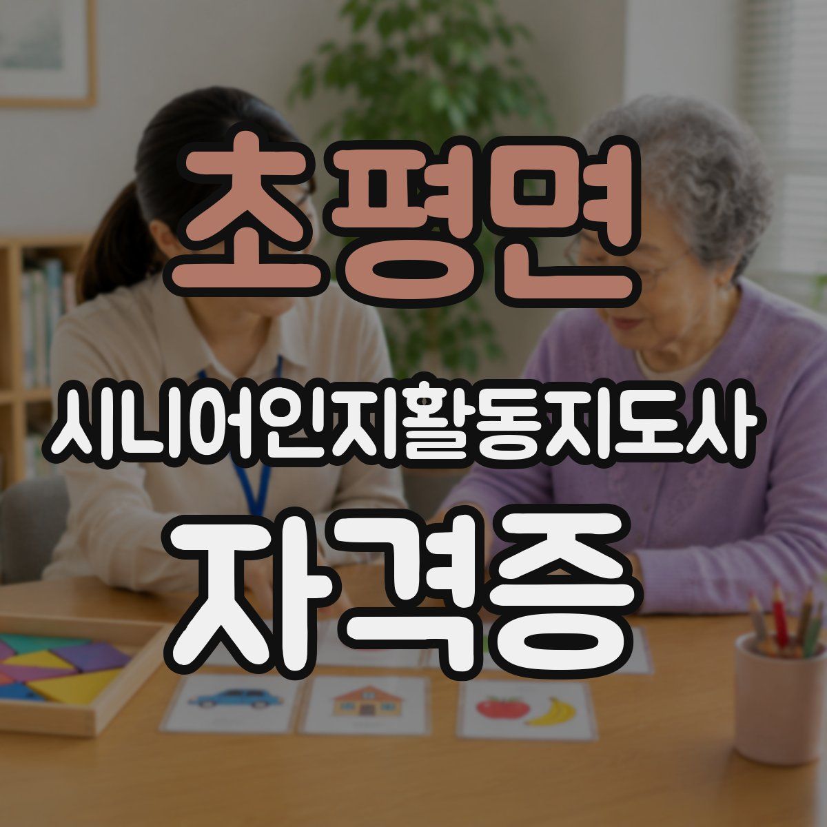 초평면 시니어인지활동지도사 자격증