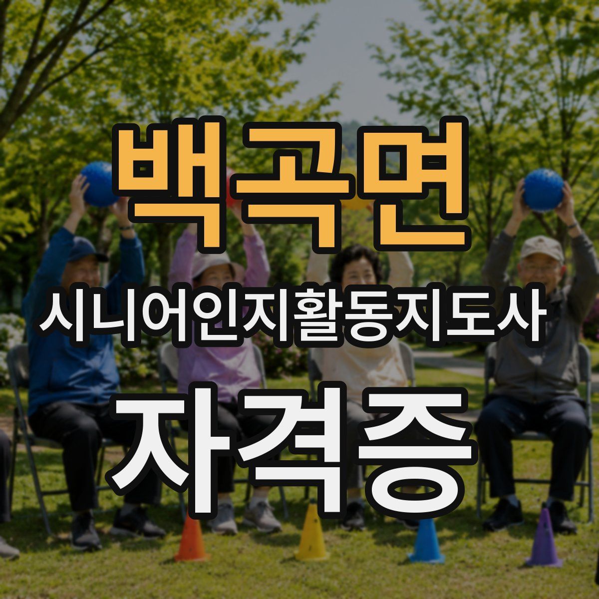 백곡면 시니어인지활동지도사 자격증
