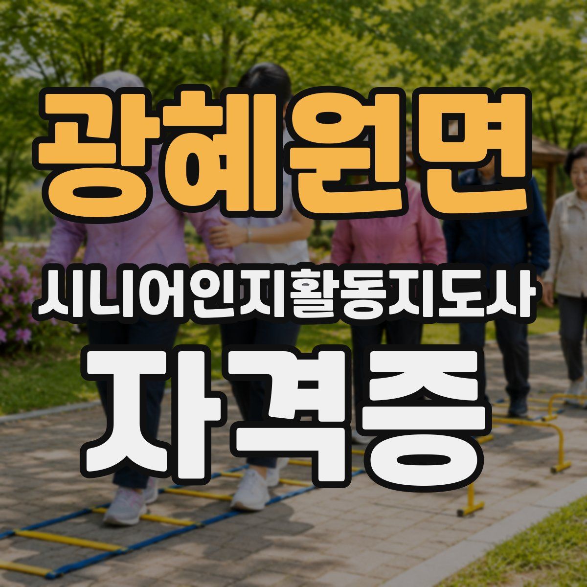 광혜원면 시니어인지활동지도사 자격증