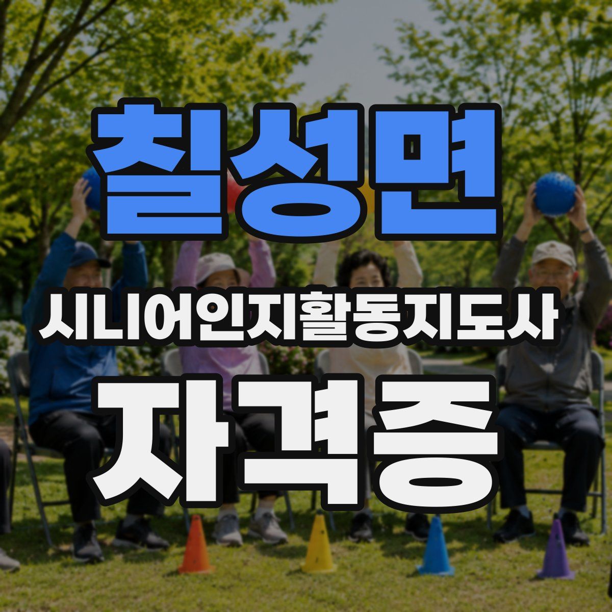 칠성면 시니어인지활동지도사 자격증