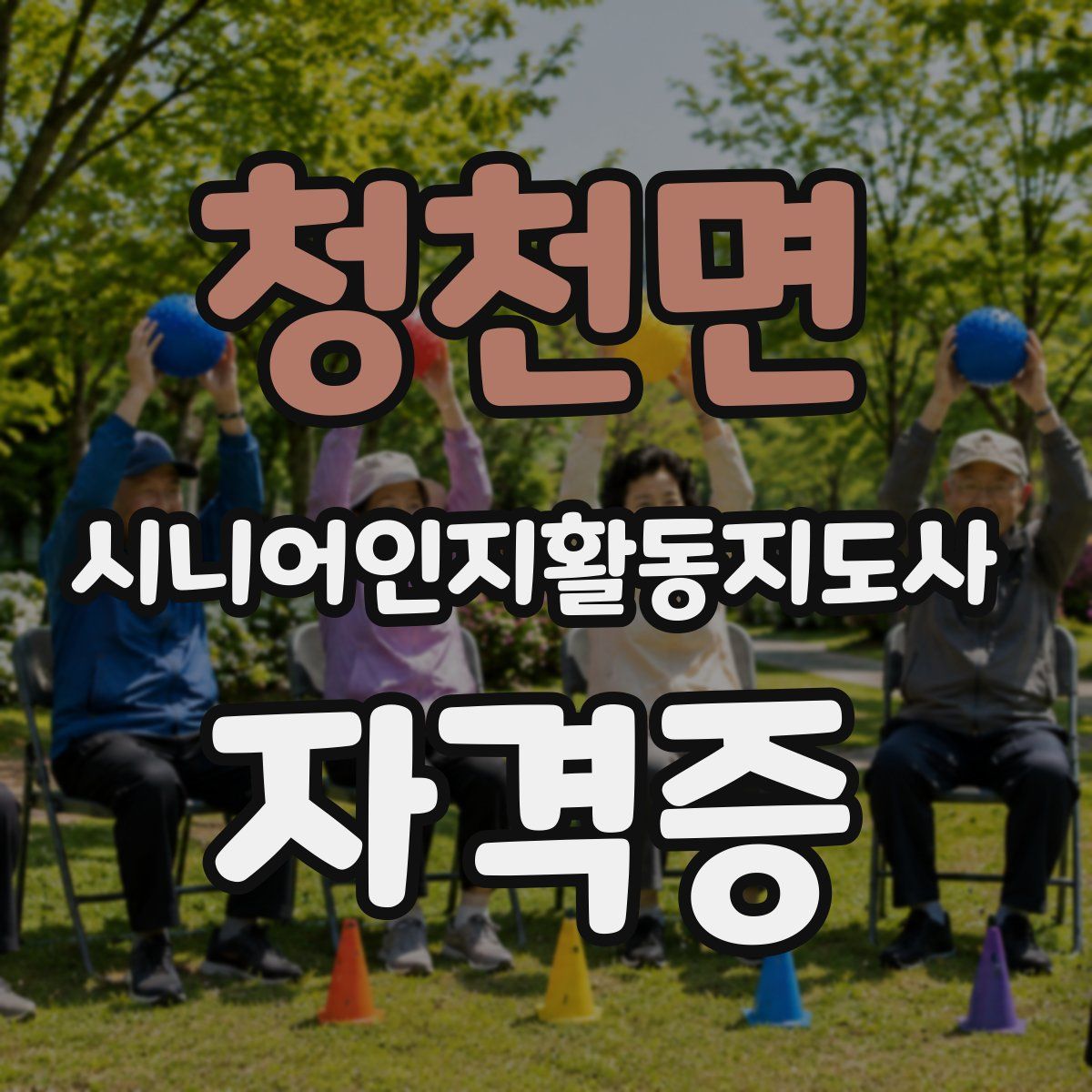 청천면 시니어인지활동지도사 자격증
