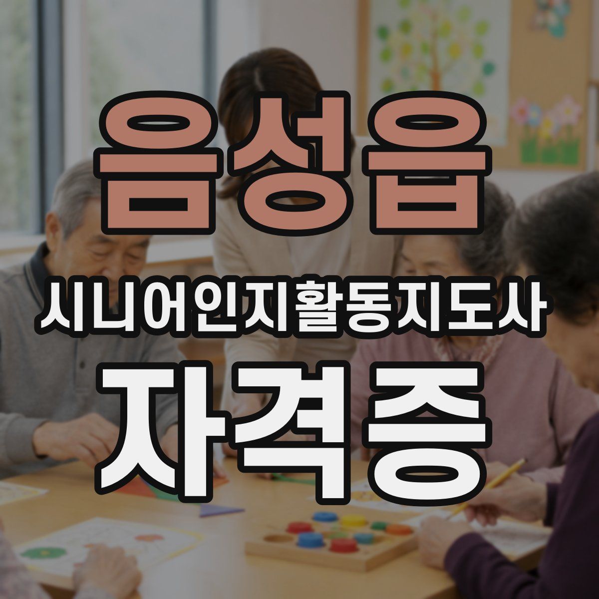 음성읍 시니어인지활동지도사 자격증