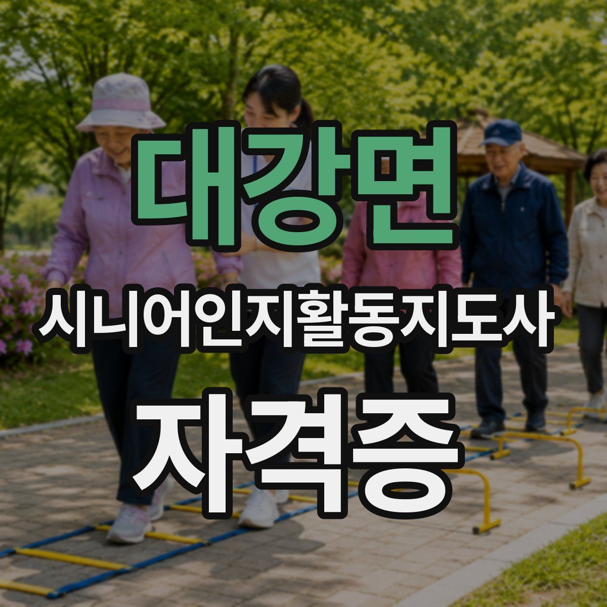 대강면 시니어인지활동지도사 자격증
