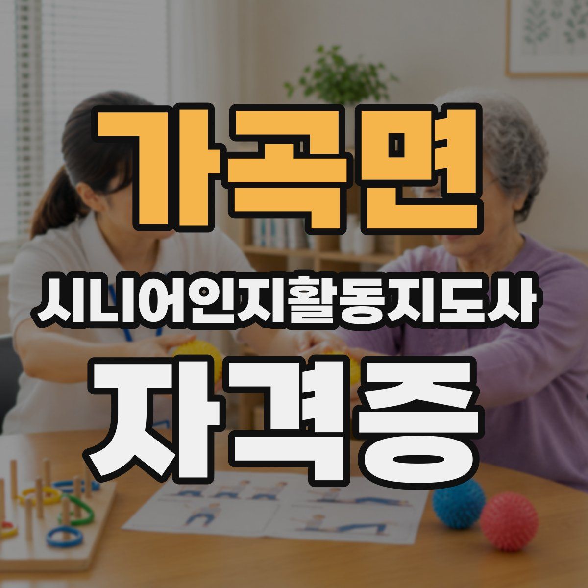 가곡면 시니어인지활동지도사 자격증
