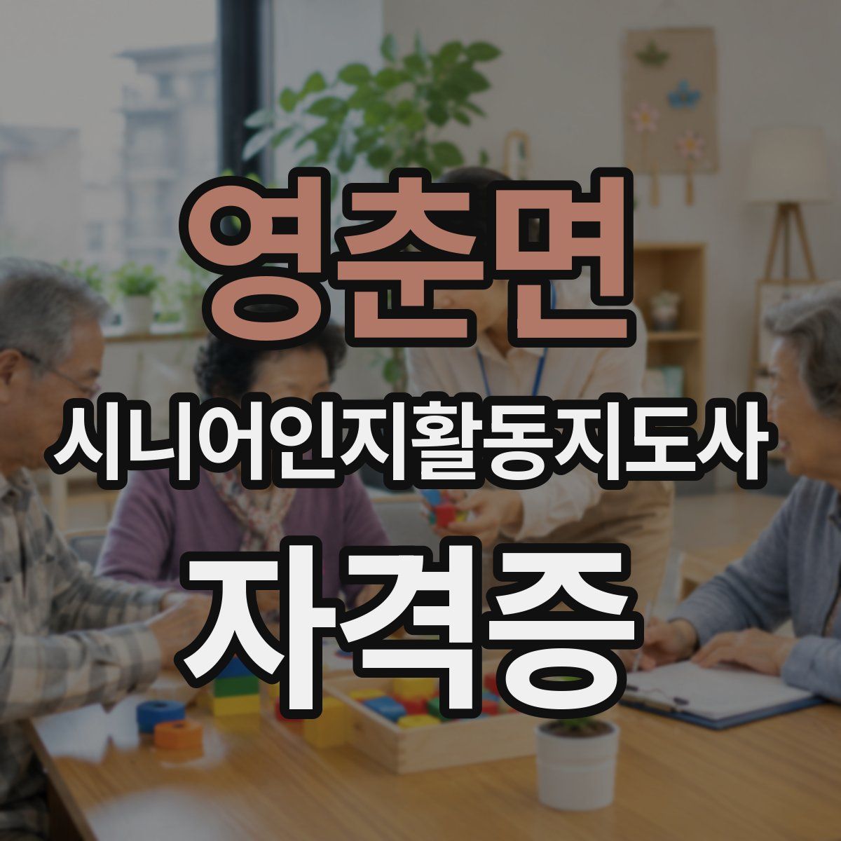 영춘면 시니어인지활동지도사 자격증
