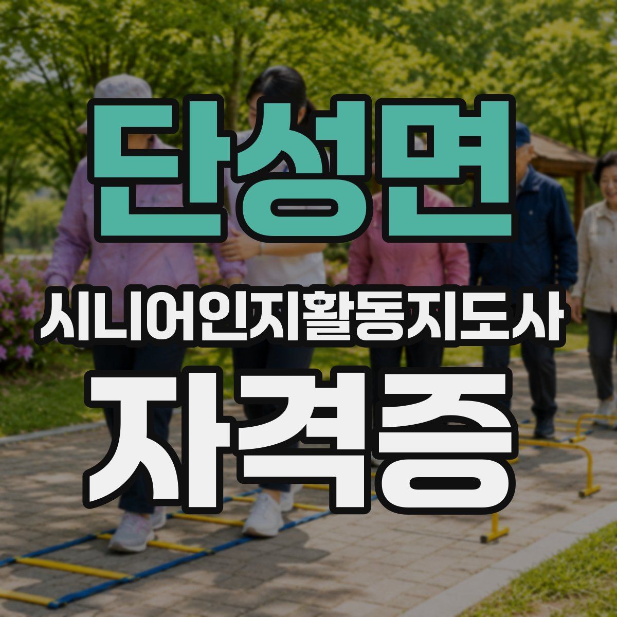 단성면 시니어인지활동지도사 자격증